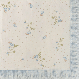 MAILEG Ubrousky Bae - Blue S25