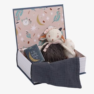 MOULIN ROTY Noční kniha na první sny