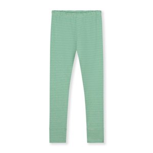 GRAY LABEL Legíny GOTS / Bright Green - Cream Velikost: 2-3y