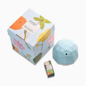 THE NATURE OF THINGS - Gift set Cosy Winter - Ice Blue